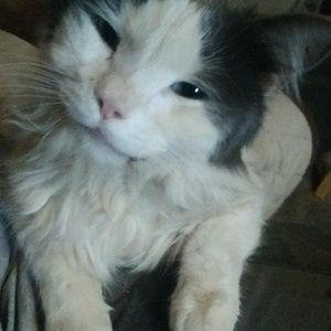 Meet your Posher, Kristi